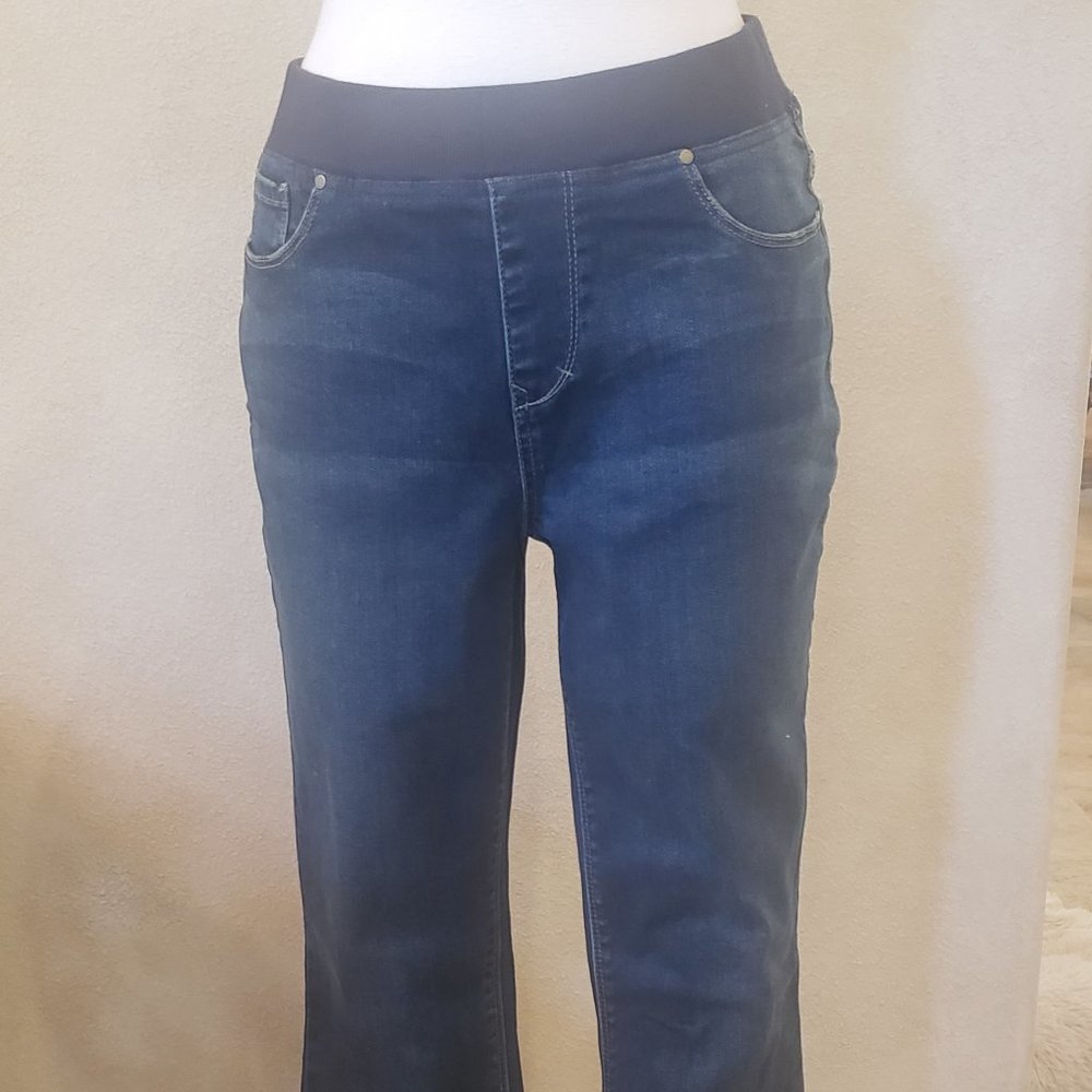NWT Boston Proper Dark Wash Skinny Pull On Jeans